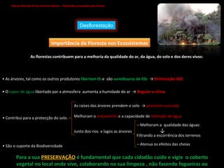 Ciências Naturais 8º ano do ensino básico – Catástrofes provocadas pelo homem   As florestas contribuem para a melhoria da qualidade do ar, da água, do solo e dos deres vivos: •  As árvores, tal como os outros produtores  libertam O 2  e  são  sumidouros de C0 2   ->  Diminuição GEE •  O  vapor de água  libertado par a atmosfera  aumenta a humidade do ar  ->  Regular o clima •  Contribui para a protecção do solo. As raízes das árvores prendem o solo  ->  previnem a erosão Melhoram o  arejamento  e a capacidade de  retenção de água Junto dos rios  e lagos as árvores  –  Melhoram a  qualidade das águas ↓ Filtrando a escorrência dos terrenos –  Atenua os efeitos das cheias •  São o suporte da Biodiversidade Para a sua  PRESERVAÇÃO  é fundamental que cada cidadão cuide e vigie  o coberto vegetal no local onde vive, colaborando na sua limpeza , não fazendo fogueiras ou queimadas. Desflorestação Importância da Floresta nos Ecossistemas 