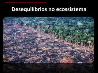 Desequilíbrios no ecossistema A desflorestação da Amazónia aumentou a ritmo "preocupante", no segundo semestre do ano passado, após três anos consecutivos de diminuição. Ciências Naturais 8º ano do ensino básico – Catástrofes provocadas pelo homem   