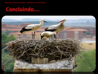 Concluindo…. A natureza sabe o que faz ao homem, o homem é que não sabe o que faz à natureza. Ciências Naturais 8º ano do ensino básico – Catástrofes provocadas pelo homem   