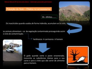 Ciências Naturais 8º ano do ensino básico – Catástrofes provocadas pelo homem   Poluição do Solo – Efeitos no ecossistema Os  efeitos…….. Os insecticidas quando usados de forma indevida, acumulam-se no solo,  os animais alimentam – se  da vegetação contaminada prosseguindo assim o ciclo de contaminação.  herbívoros -> carnívoros -> homem O gado quando come o pasto envenenado, transmite as substâncias tóxicas para a sua carne e para o leite que vão servir de alimento para o homem. 