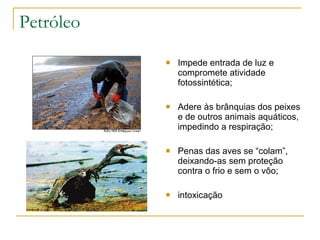 Petróleo Impede entrada de luz e compromete atividade fotossintética; Adere às brânquias dos peixes e de outros animais aquáticos, impedindo a respiração; Penas das aves se “colam”, deixando-as sem proteção contra o frio e sem o vôo; intoxicação 