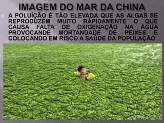 

A POLUÍÇÃO É TÃO ELEVADA QUE AS ALGAS SE
REPRODUZEM MUITO RÁPIDAMENTE O QUE
CAUSA FALTA DE OXIGENAÇÃO NA ÁGUA
PROVOCANDE MORTANDADE DE PEIXES E
COLOCANDO EM RISCO A SAÚDE DA POPULAÇÃO

 