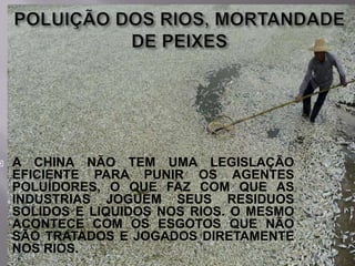 

A CHINA NÃO TEM UMA LEGISLAÇÃO
EFICIENTE PARA PUNIR OS AGENTES
POLUÍDORES, O QUE FAZ COM QUE AS
INDUSTRIAS JOGUEM SEUS RESIDUOS
SOLIDOS E LIQUIDOS NOS RIOS. O MESMO
ACONTECE COM OS ESGOTOS QUE NÃO
SÃO TRATADOS E JOGADOS DIRETAMENTE
NOS RIOS.

 