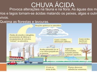 CHUVA ÁCIDA 
Provoca alterações na fauna e na flora. As águas dos mares, 
rios e lagos tornam-se ácidas matando os peixes, algas e outros vivos. 
Queima as florestas e lavouras. 
 