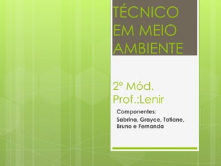 TÉCNICO
EM MEIO
AMBIENTE
2º Mód.
Prof.:Lenir
Componentes:
Sabrina, Grayce, Tatiane,
Bruno e Fernanda
 