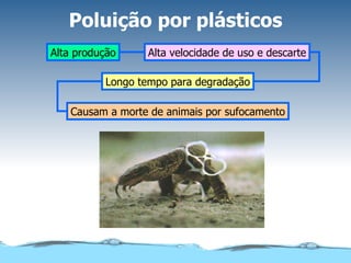 Poluição por plásticos Alta produção Longo tempo para degradação Causam a morte de animais por sufocamento Alta velocidade de uso e descarte 