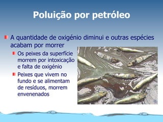 Poluição por petróleo A quantidade de oxigénio diminui e outras espécies acabam por morrer Os peixes da superfície morrem por intoxicação e falta de oxigénio Peixes que vivem no fundo e se alimentam de resíduos, morrem envenenados 