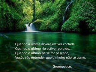 Quando a última árvore estiver cortada,
Quando o último rio estiver poluído,
Quando o último peixe for pescado,
Vocês vão entender que dinheiro não se come.
Greenpeace.

 