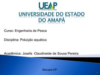 Curso: Engenharia de Pesca
Disciplina: Poluição aquática
Acadêmica: Josefa Claudineide de Sousa Pereira
1
Macapá-AP
 