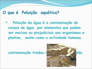 Poluição da água é a contaminação de corpos de água  por elementos que podem ser nocivos ou prejudiciais aos organismos e plantas,  assim como a actividade humana.  O resultado da contaminação traduz-se como água poluída. O que é  Poluição  aquática? 