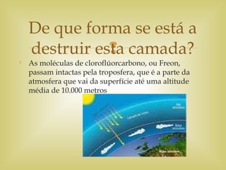 

As moléculas de cloroflúorcarbono, ou Freon,
passam intactas pela troposfera, que é a parte da
atmosfera que vai da superfície até uma altitude
média de 10.000 metros
De que forma se está a
destruir esta camada?
 