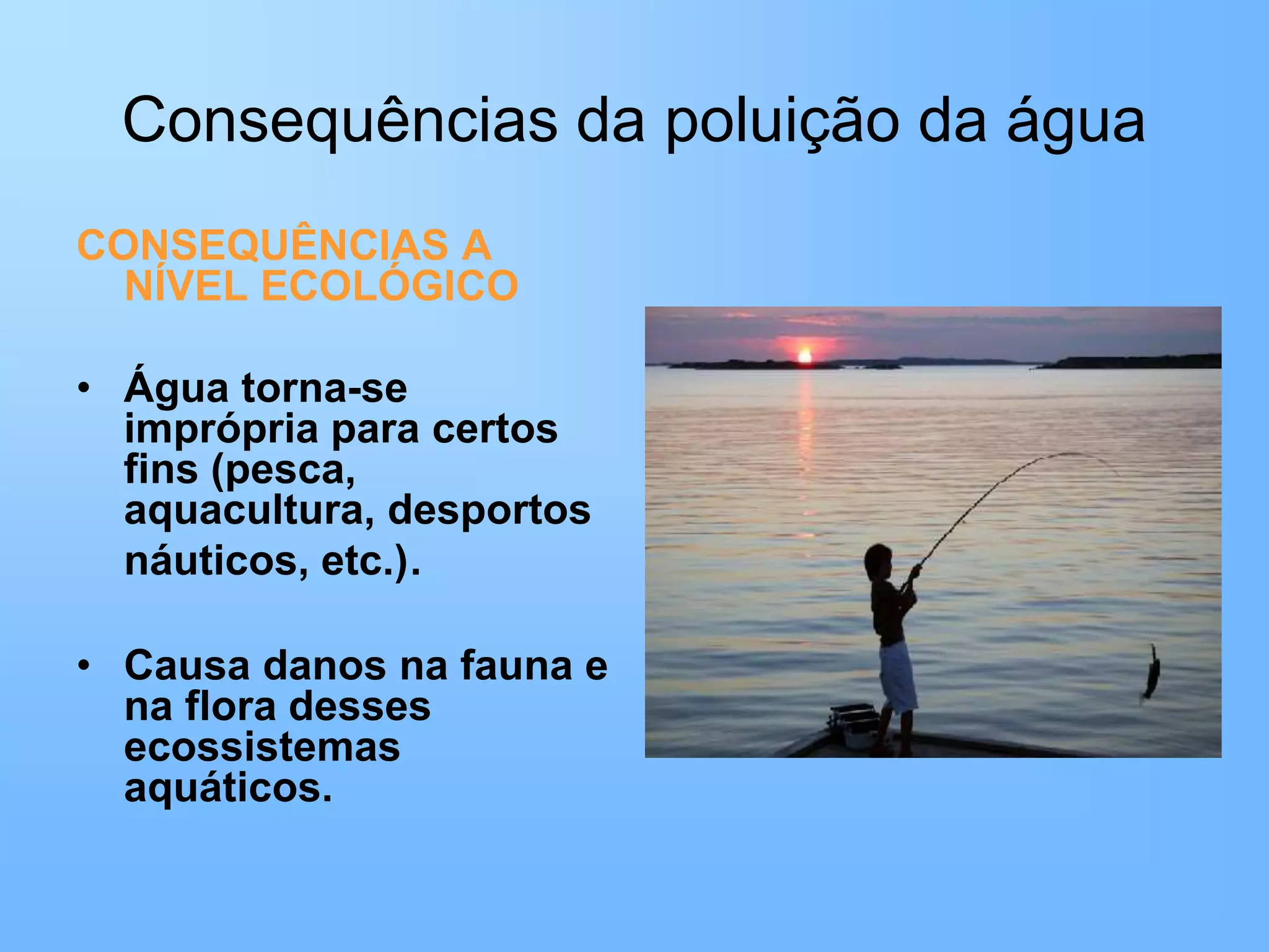 Poluição da agua | PPT