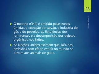  O metano (CH4) é emitido pelas zonas
úmidas, a extração do carvão, a indústria do
gás e do petróleo, as flatulências dos
ruminantes e a decomposição dos dejetos
orgânicos nos lixões.
 As Nações Unidas estimam que 18% das
emissões com efeito estufa no mundo se
devam aos animais de gado.
23
 
