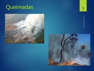 Queimadas 3
 