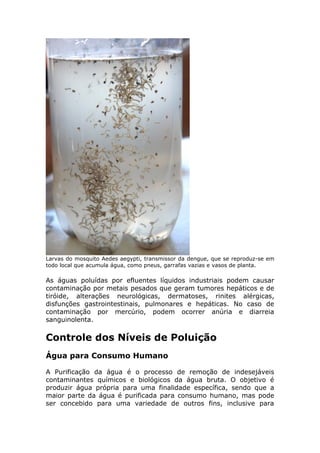 Larvas do mosquito Aedes aegypti, transmissor da dengue, que se reproduz-se em
todo local que acumula água, como pneus, garrafas vazias e vasos de planta.
As águas poluídas por efluentes líquidos industriais podem causar
contaminação por metais pesados que geram tumores hepáticos e de
tiróide, alterações neurológicas, dermatoses, rinites alérgicas,
disfunções gastrointestinais, pulmonares e hepáticas. No caso de
contaminação por mercúrio, podem ocorrer anúria e diarreia
sanguinolenta.
Controle dos Níveis de Poluição
Água para Consumo Humano
A Purificação da água é o processo de remoção de indesejáveis
contaminantes químicos e biológicos da água bruta. O objetivo é
produzir água própria para uma finalidade específica, sendo que a
maior parte da água é purificada para consumo humano, mas pode
ser concebido para uma variedade de outros fins, inclusive para
 