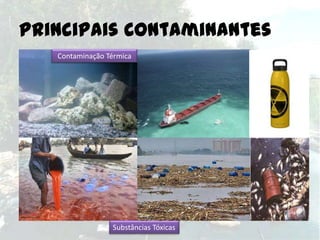 Principais Contaminantes
Contaminação Térmica

Substâncias Tóxicas

 