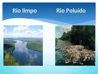 Rio limpo Rio Poluído
 