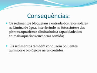 Consequências:
 Os sedimentos bloqueiam a entrada dos raios solares
na lâmina de água, interferindo na fotossíntese das
plantas aquáticas e diminuindo a capacidade dos
animais aquáticos encontrar comida;
 Os sedimentos também conduzem poluentes
químicos e biológicos neles contidos.
 