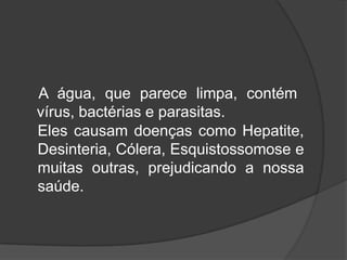 A água, que parece limpa, contém vírus, bactérias e parasitas. Eles causam doenças como Hepatite, Desinteria, Cólera, Esquistossomose e muitas outras, prejudicando a nossa saúde. 