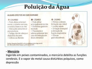 Poluição da Água




- Mercúrio
Ingerido em peixes contaminados, o mercúrio debilita as funções
cerebrais. E o vapor do metal causa distúrbios psíquicos, como
depressão
 