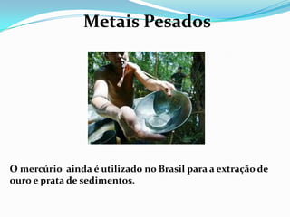 Metais Pesados




O mercúrio ainda é utilizado no Brasil para a extração de
ouro e prata de sedimentos.
 