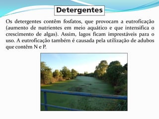 Os detergentes contêm fosfatos, que provocam a eutroficação
(aumento de nutrientes em meio aquático e que intensifica o
crescimento de algas). Assim, lagos ficam imprestáveis para o
uso. A eutroficação também é causada pela utilização de adubos
que contêm N e P.
 