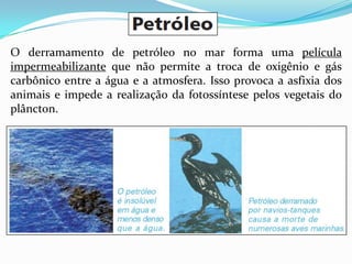 O derramamento de petróleo no mar forma uma película
impermeabilizante que não permite a troca de oxigênio e gás
carbônico entre a água e a atmosfera. Isso provoca a asfixia dos
animais e impede a realização da fotossíntese pelos vegetais do
plâncton.
 
