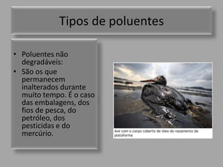Tipos de poluentes Poluentes não degradáveis:São os que permanecem inalterados durante muito tempo. É o caso das embalagens, dos fios de pesca, do petróleo, dos pesticidas e do mercúrio.