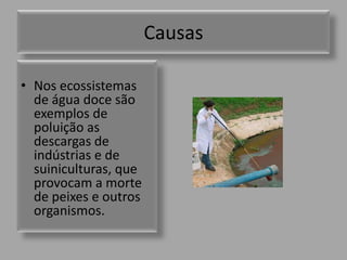 CausasNos ecossistemas de água doce são exemplos de poluição as descargas de indústrias e de suiniculturas, que provocam a morte de peixes e outros organismos. 