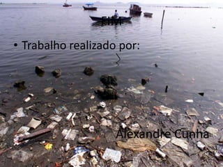 FIMTrabalho realizado por:Alexandre Cunha