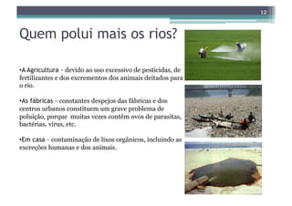 12


Quem polui mais os rios?

• A Agricultura - devido ao uso excessivo de pesticidas, de
fertilizantes e dos excrementos dos animais deitados para
o rio.

• As fábricas - constantes despejos das fábricas e dos
centros urbanos constituem um grave problema de
poluição, porque muitas vezes contêm ovos de parasitas,
bactérias, vírus, etc.

• Em casa - contaminação de lixos orgânicos, incluindo as
excreções humanas e dos animais.
 