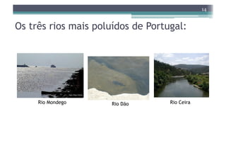 14


Os três rios mais poluídos de Portugal:




     Rio Mondego     Rio Dão       Rio Ceira
 