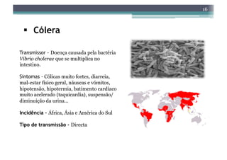 16



   Cólera

Transmissor - Doença causada pela bactéria
Vibrio cholerae que se multiplica no
intestino.

Sintomas - Cólicas muito fortes, diarreia,
mal-estar físico geral, náuseas e vómitos,
hipotensão, hipotermia, batimento cardíaco
muito acelerado (taquicardia), suspensão/
diminuição da urina…

Incidência - África, Ásia e América do Sul

Tipo de transmissão - Directa
 