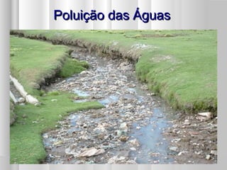 Poluição das ÁguasPoluição das Águas
 