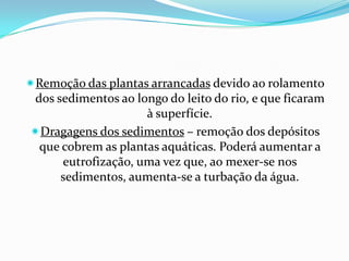 Remoção das plantas arrancadas devido ao rolamento
 dos sedimentos ao longo do leito do rio, e que ficaram
                     à superfície.
Dragagens dos sedimentos – remoção dos depósitos
  que cobrem as plantas aquáticas. Poderá aumentar a
      eutrofização, uma vez que, ao mexer-se nos
      sedimentos, aumenta-se a turbação da água.
 