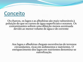 Conceito
 Os charcos, os lagos e as albufeiras são mais vulneráveis à
poluição do que os cursos de água superficiais e oceanos. Os
   contaminantes sofrem uma diluição menos acentuada
      devido ao menor volume de água e de corrente




     Aos lagos e albufeiras chegam escorrências de terrenos
       circundantes, ricas em sedimentos e nutrientes. O
     enriquecimento dos lagos em nutrientes denomina-se
                          eutrofização.
 