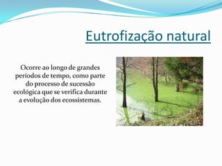 Eutrofização natural
  Ocorre ao longo de grandes
 períodos de tempo, como parte
     do processo de sucessão
ecológica que se verifica durante
  a evolução dos ecossistemas.
 