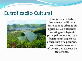 Eutrofização Cultural
                    Resulta de atividades
                    humanas e verifica-se
                  junto a zonas urbanas ou
                   agrícolas. Os nutrientes
                   que atingem o lago são
                  principalmente nitratos e
                   fosfatos com origem na
                  agricultura e na pecuária,
                   na erosão do solo e nos
                  efluentes das estações de
                         tratamento.
 