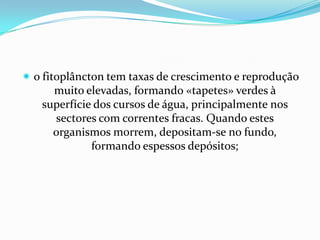 o fitoplâncton tem taxas de crescimento e reprodução
      muito elevadas, formando «tapetes» verdes à
    superfície dos cursos de água, principalmente nos
      sectores com correntes fracas. Quando estes
      organismos morrem, depositam-se no fundo,
              formando espessos depósitos;
 