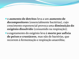 o aumento de detritos leva a um aumento de
 decompositores (essencialmente bactérias), cujo
 crescimento exponencial provoca uma diminuição do
 oxigénio dissolvido (consumido na respiração);
o esgotamento do oxigénio leva à morte por asfixia
 de peixes e crustáceos, mas não de bactérias, que
 recorrem à fermentação e respiração anaeróbia;
 
