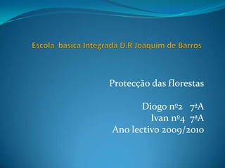 Escola  básica Integrada D.R Joaquim de Barros   Protecção das florestas Diogo nº2   7ªA Ivan nº4  7ªA Ano lectivo 2009/2010 