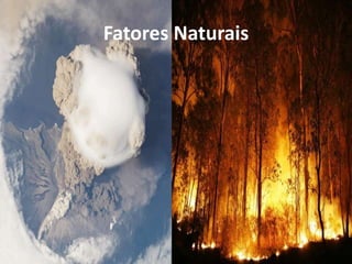 Fatores Naturais

 