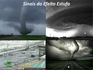Sinais do Efeito Estufa

 