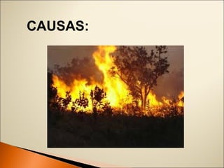 CAUSAS: 
 