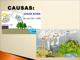 CAUSAS: 
 