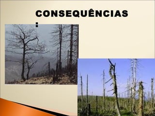 CONSEQUÊNCIAS 
: 
 