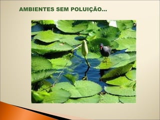 AMBIENTES SEM POLUIÇÃO... 
 
