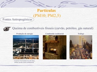 Partículas
                                       (PM10; PM2,5)
Fontes Antropogénicas

      Queima de combustíveis fósseis (carvão, petróleo, gás natural)
           Produção de energia               Combustão residencial   Tráfego




        A Central Termoeléctrica de Sines,
        utiliza carvão como combustível
 