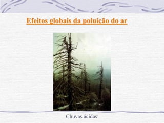 Efeitos globais da poluição do ar




            Chuvas ácidas
 