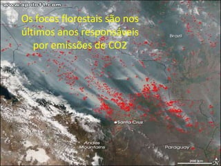 Os focos florestais são nos
últimos anos responsáveis
   por emissões de CO2
 